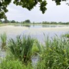 Sites du Conservatoire des Espaces Naturels de Nouvelle-Aquitaine