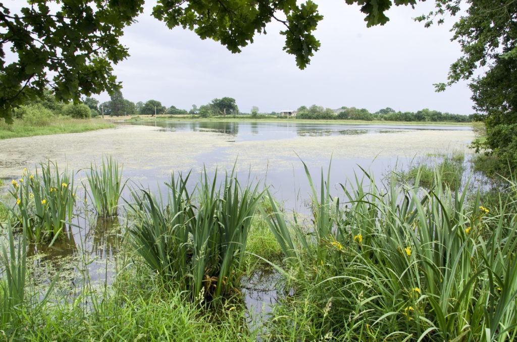 Etang de Beaurepaire ©Francis Massias