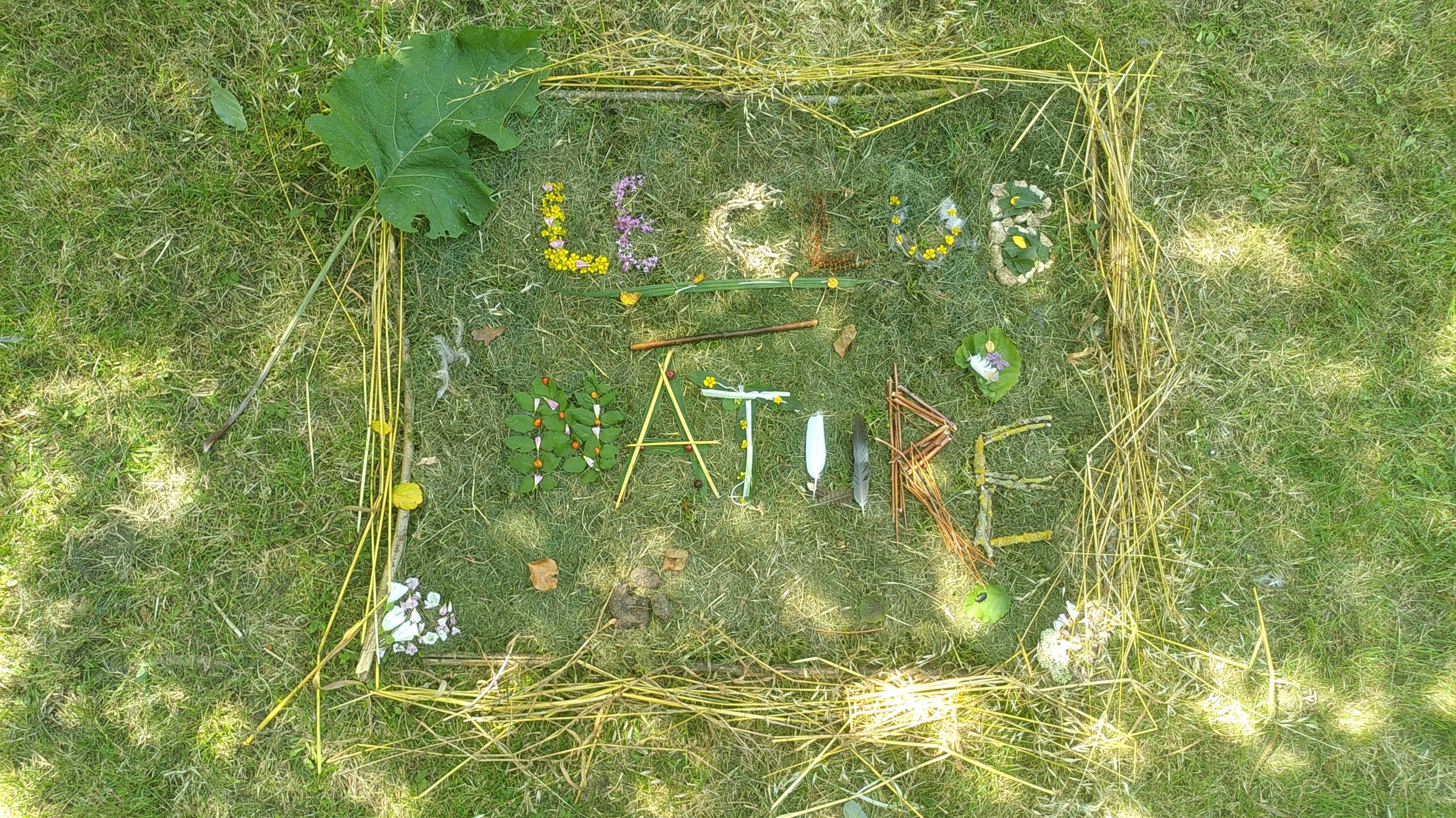 Club Nature écrit avec des éléments de la nature