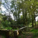 Pougne-Hérisson, Fénery et Clessé fêtent leur projet Nature et Transitions