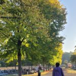 Chasse aux nichoirs sur Niort