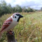 Visite d’une délégation vendéenne !