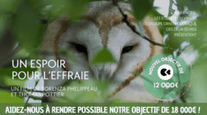 « Un espoir pour l’Effraie » : documentaire pour la protection de l’Effraie des clochers