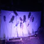 Bilan sur le projet ACTE à Melle