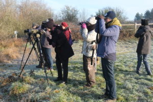 Initiation à la Reconnaissance des Oiseaux Communs : les inscriptions sont ouvertes !