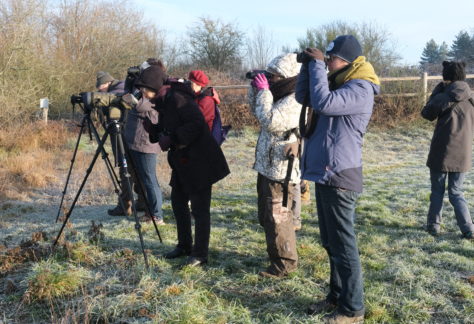Initiation à la Reconnaissance des Oiseaux Communs : les inscriptions sont ouvertes !