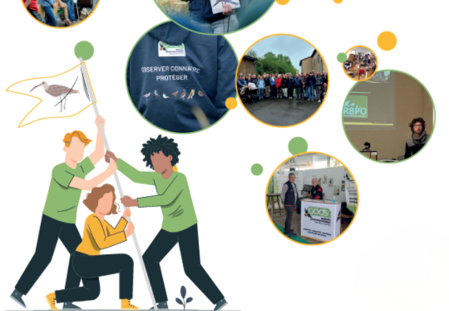 2025 en quelques pages : rapport annuel du GODS